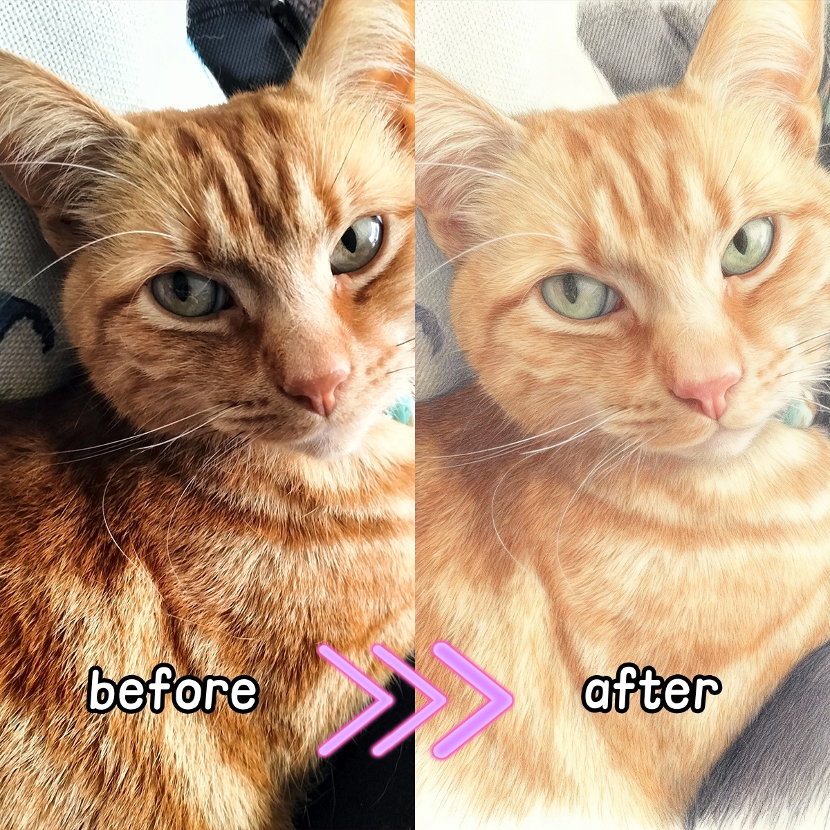 Personalized Custom Colored Pe - đánh giá và giá Pet Portrait Custom