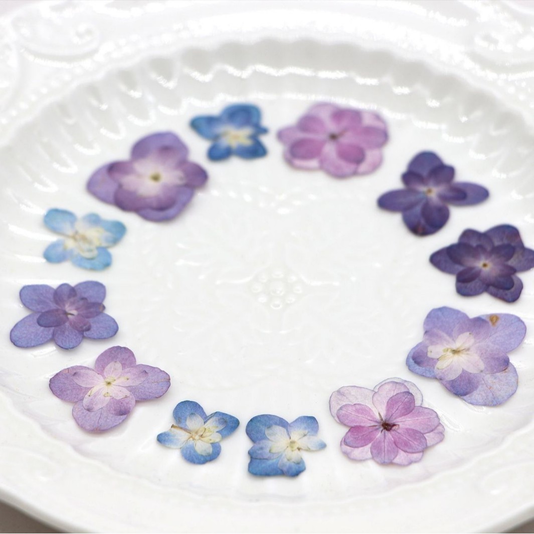 60Pcs Mini Double-Flowered Hyd - đánh giá và giá Dried Flower Bookmark