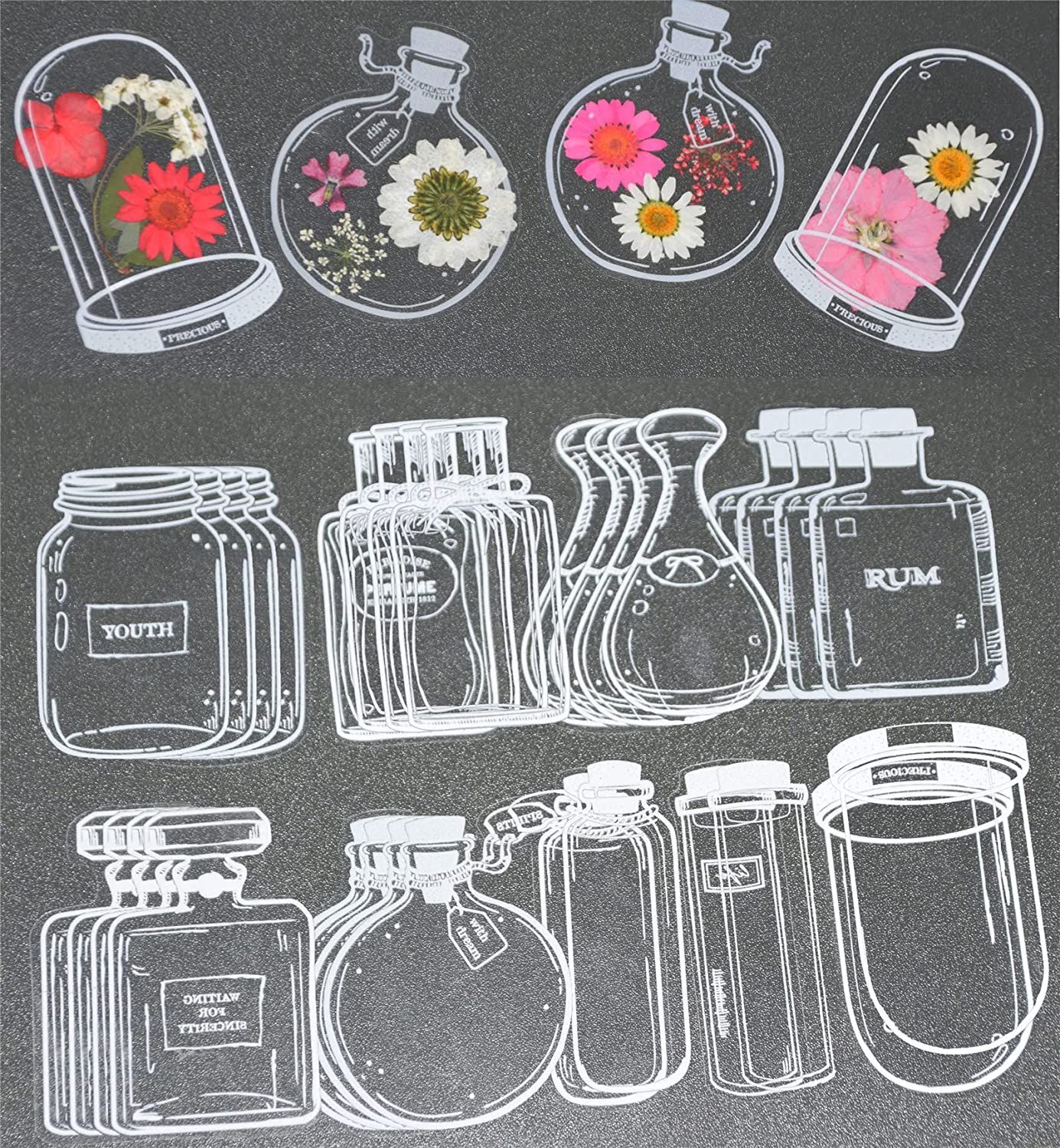 30Pcs Transparent Dried Flower - đánh giá và giá Dried Flower Bookmark